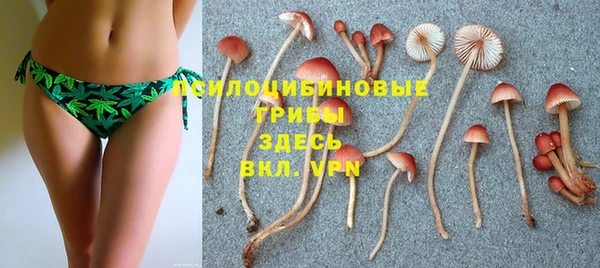 альфа пвп Богданович